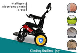 Majestic -Auto Recline Remote Controlled Electric Wheelchair - IQ9000