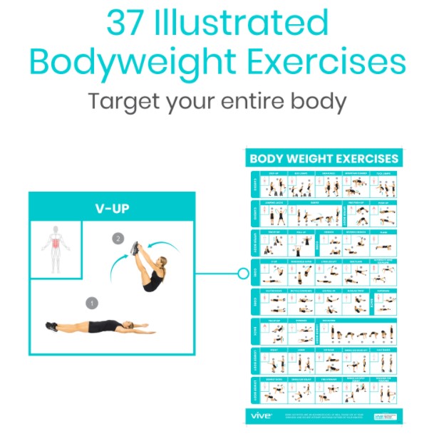 Vive Health - No Equipment Poster Pack, Yoga, Body Weight, Stretching, Full-Color, Laminated