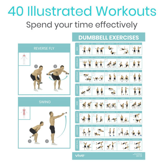 Vive Health - Workout Poster, Free Weights, Full Body, 1-Sided, Laminated