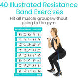 Vive Health - Flexibility Poster Pack: Yoga, Stretching, Resistance Bands, Full-Color, Laminated