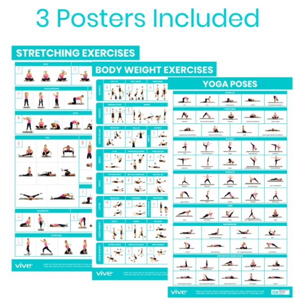 Vive Health - No Equipment Poster Pack, Yoga, Body Weight, Stretching, Full-Color, Laminated