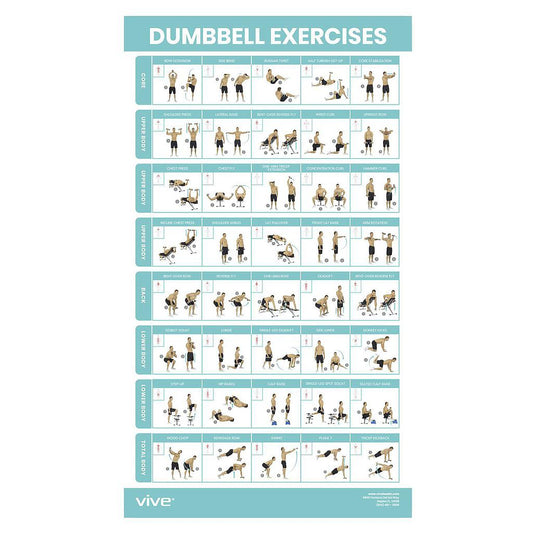Vive Health - Workout Poster, Free Weights, Full Body, 1-Sided, Laminated