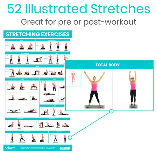 Vive Health - No Equipment Poster Pack, Yoga, Body Weight, Stretching, Full-Color, Laminated